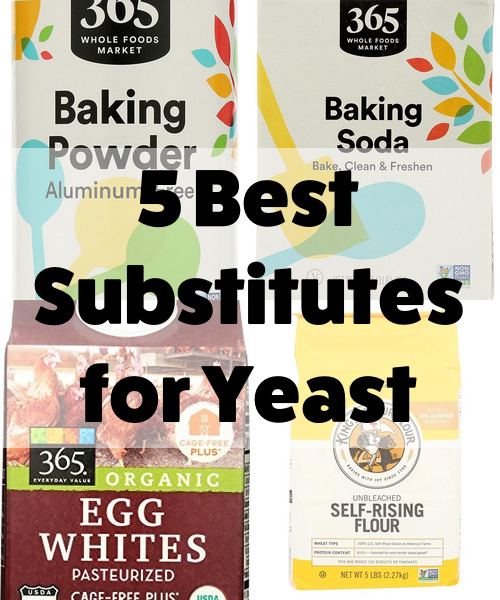 5 Best Baking Soda Substitutes - What's the Best Substitute for