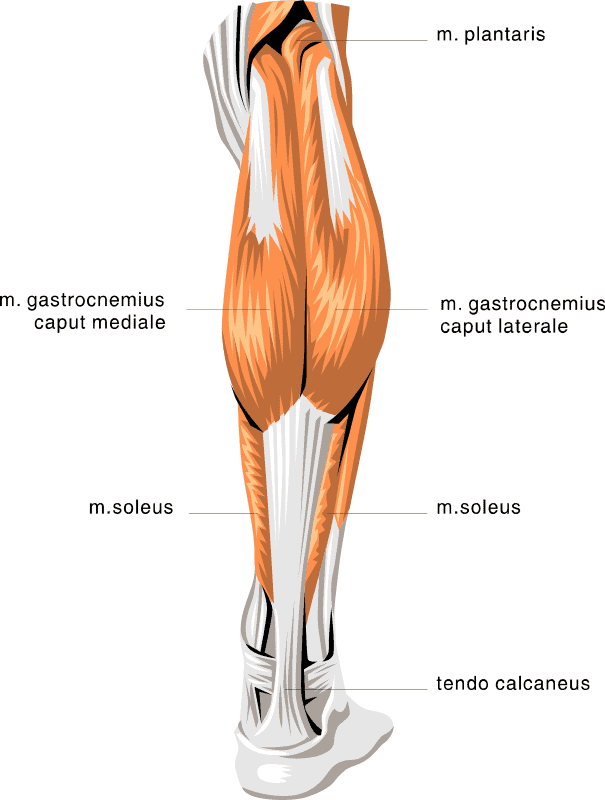 calf-pain-diabetes