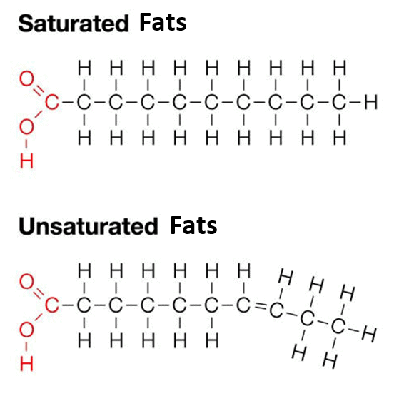 staurated-unsaturated