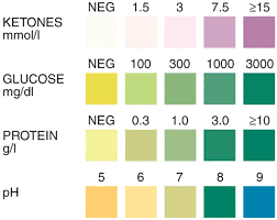 Bayer Urine Test Strips Color Chart