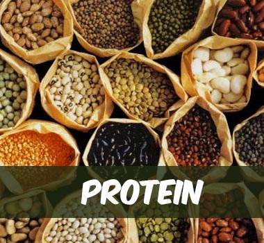 protein sources for diabetes