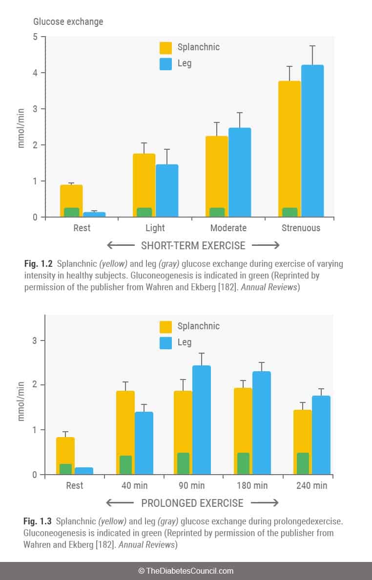 glucose-exchange-data-diabetes-exercise-athlete