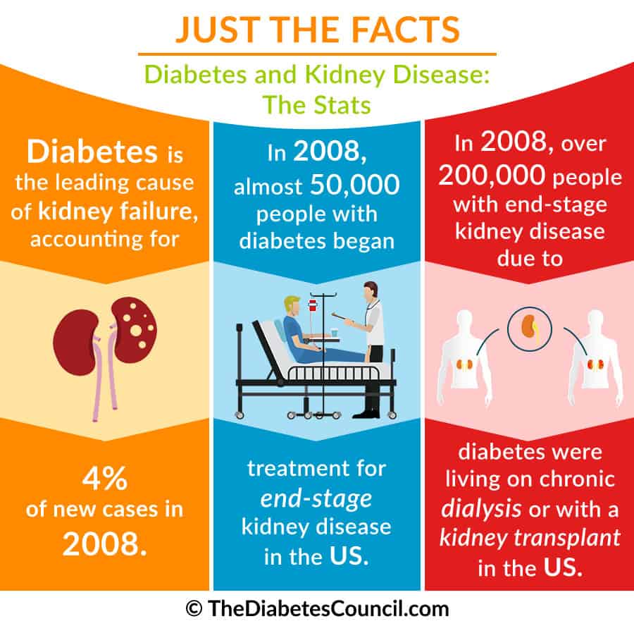 Kidney Function Percent Chart