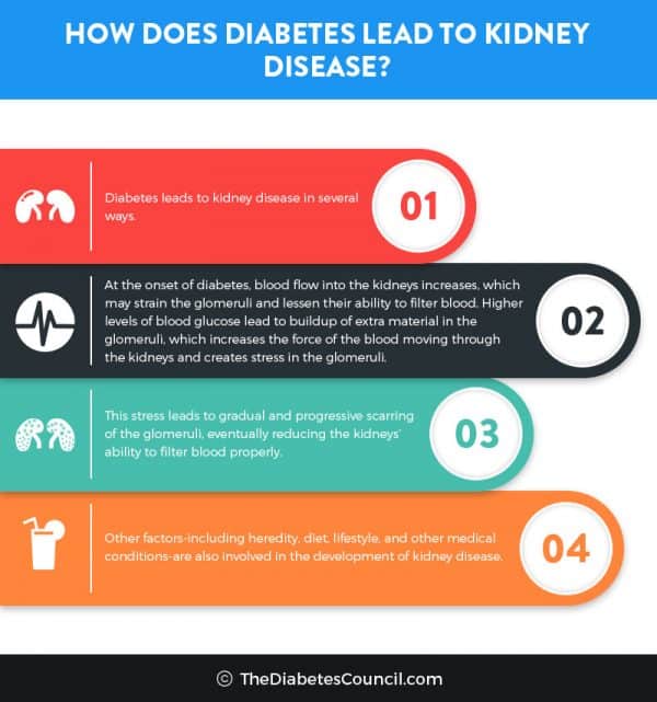 Diabetes And Renal Failure Everything You Need To Know