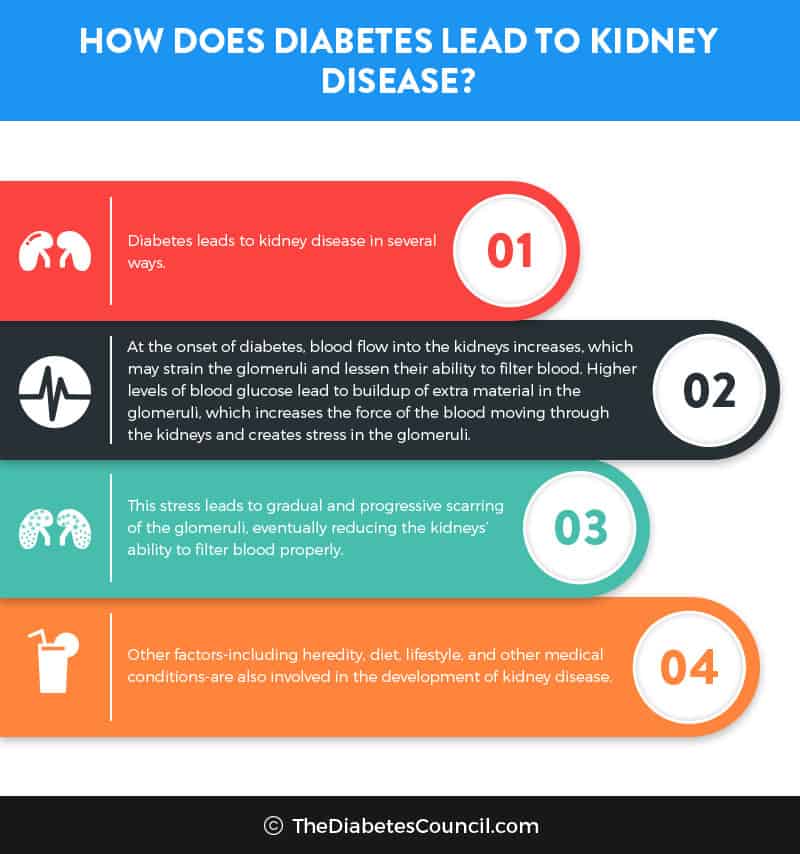 Indian Diet Chart For Diabetic And Kidney Patient