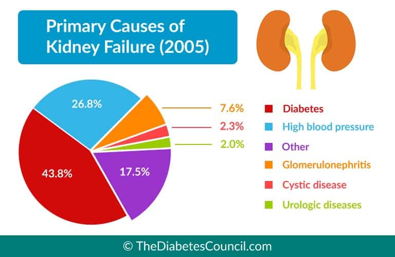 Kidney Function Chart