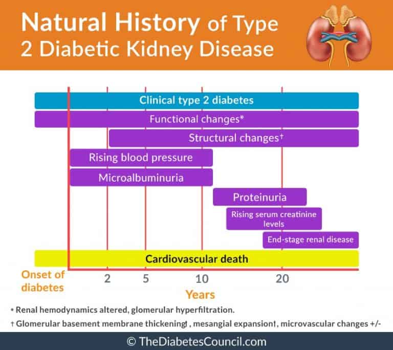 Diabetes And Renal Failure Everything You Need To Know
