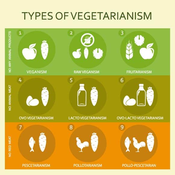 Pros And Cons Of Vegetarianism Chart