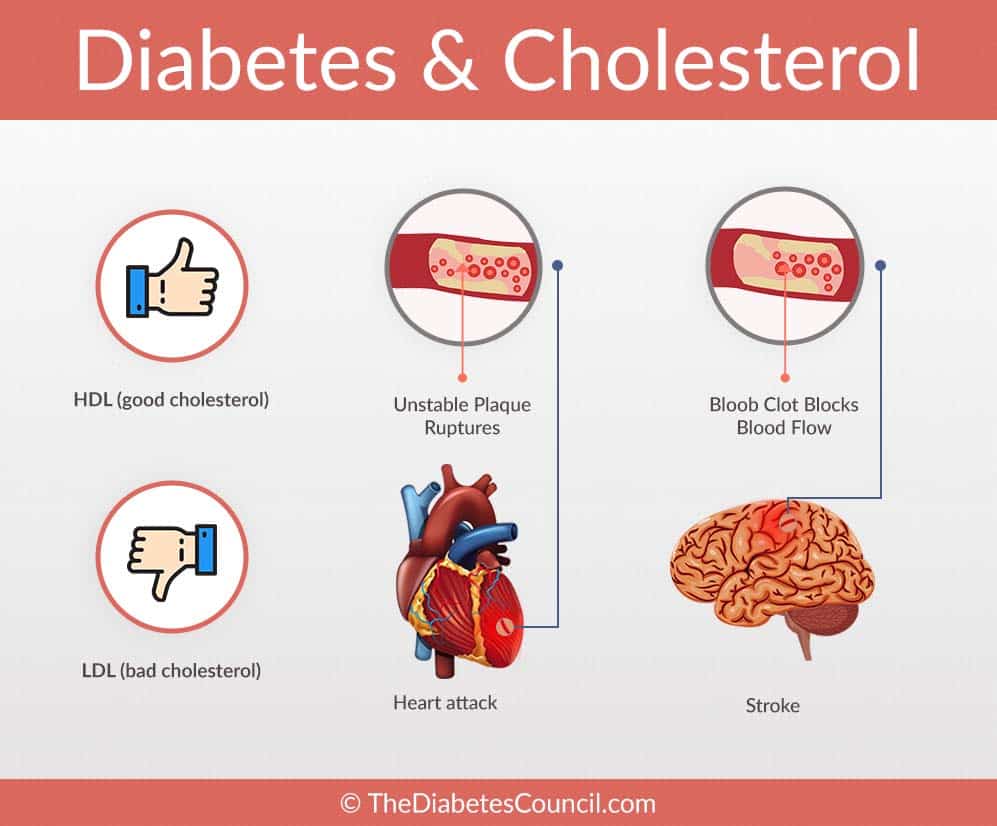 What is the relationship between cholesterol and diabetes ...