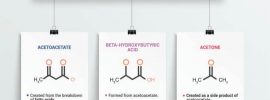 3 types of ketones bodies