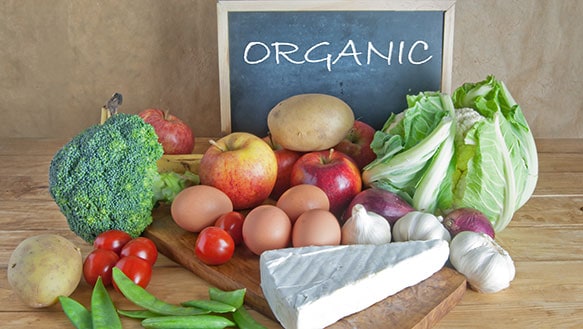 Organic Meals Tips Is Useful 2