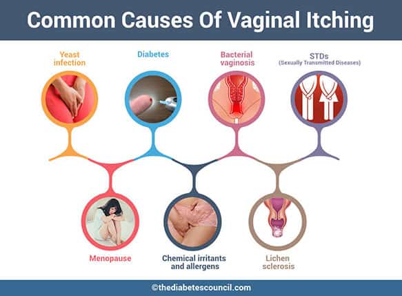 Vaginal Itching And Diabetes The Causes Behind Vaginal Itching