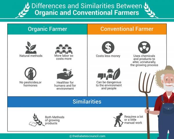 Organic Foods vs Regular Conventional Food: What is the Difference ...