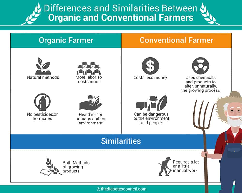 The difference between organic food and conventional food