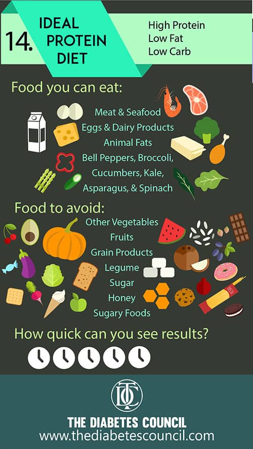 low carb and low protein diet