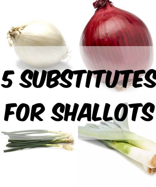 A Shallot Substitute: Two Options You Probably Have In Your Pantry