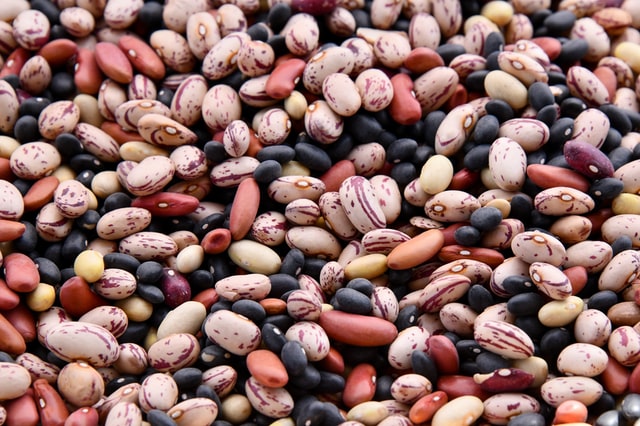 Beans For Diabetics